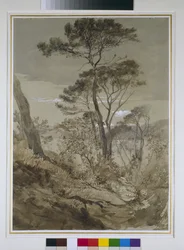 Stone Pines at Sestri, Gulf of Genoa